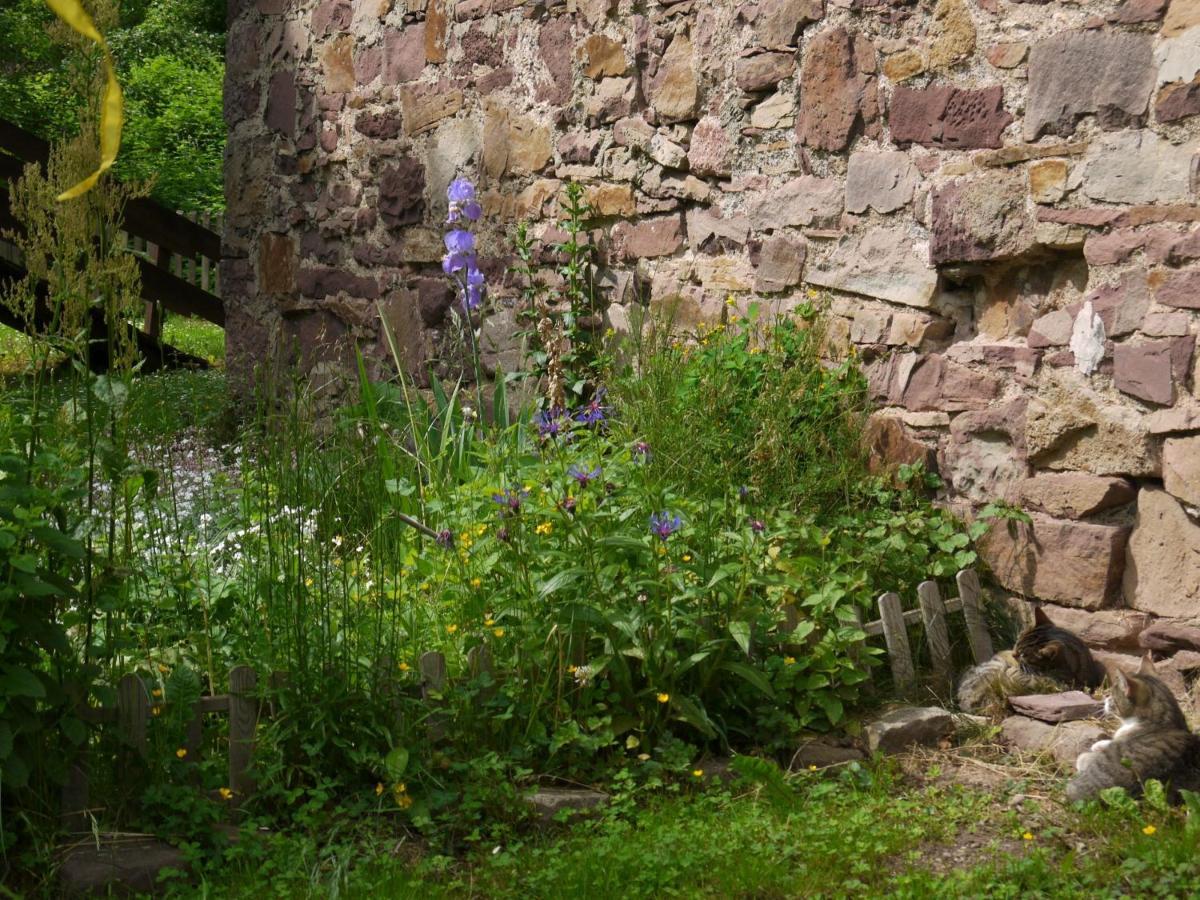 Ferienwohnungen Am Campingplatz Trendelburg Esterno foto